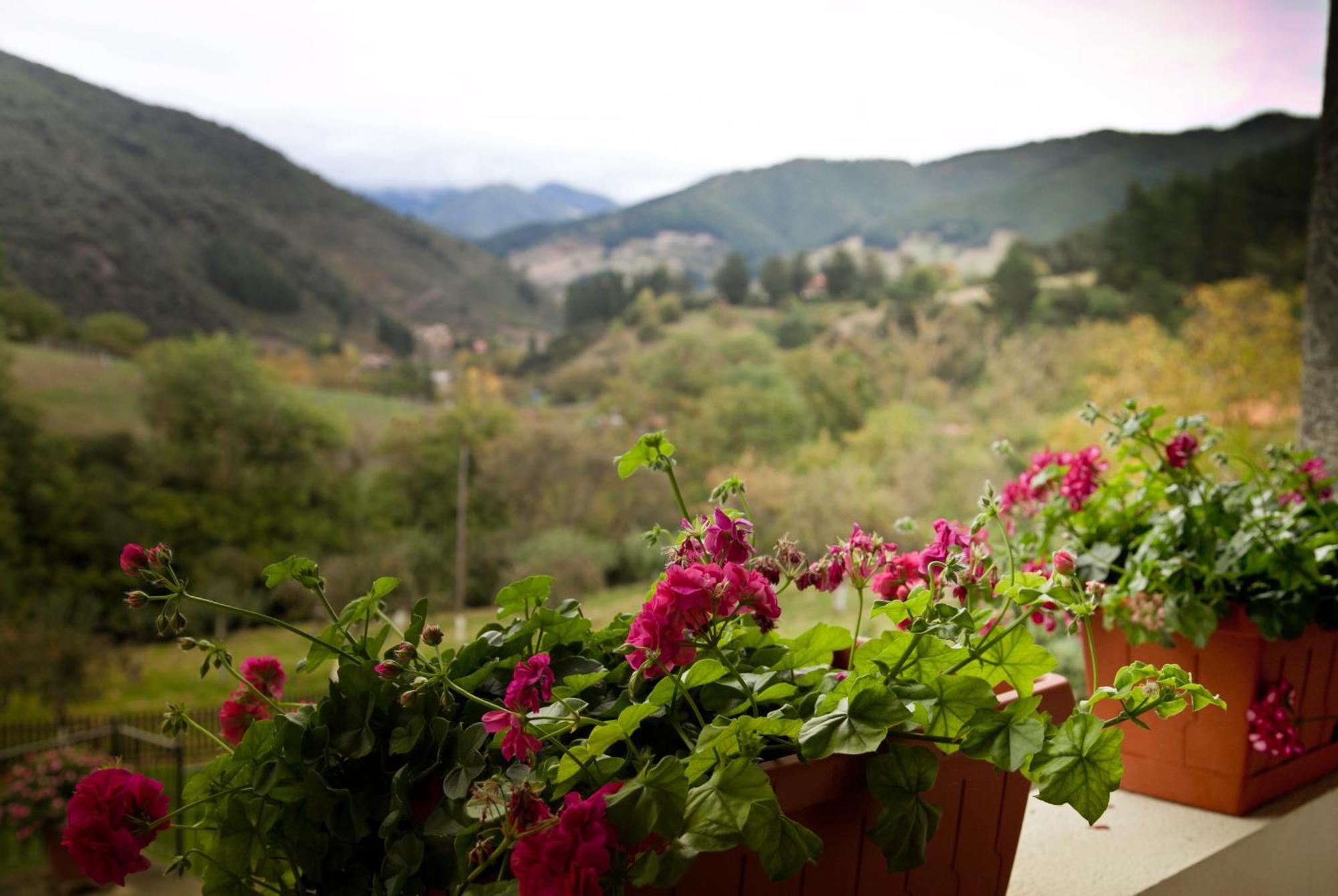 Viviendas Rurales Traldega Turieno Extérieur photo